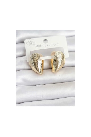 316l Çelik Gold Renk Midye Model Kadın Küpe Tj-bkp11863 Evimdeyokyok