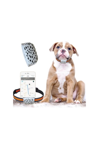 Erctec J2 Sim Kartlı BTK İmei Kayıtlı Gps Hayvan Takip Cihazı