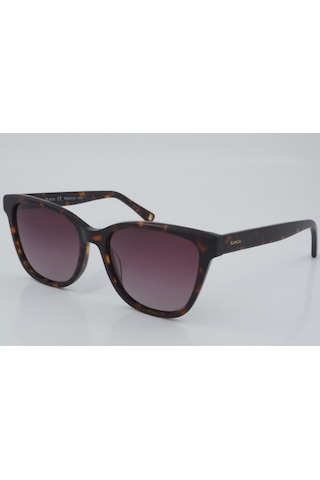 Blancia Bc 1177 C2 53 - 01 Güneş Gözlüğü Leopar