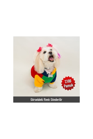 Premium Kapüşonlu Kedi Ve Köpek Sweatshirt Renkli Şık Pet Elbisesi