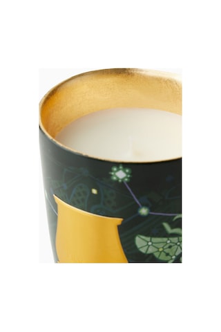 Trudon Fir Classic Odunsu Kokulu Mum Çok Renkli