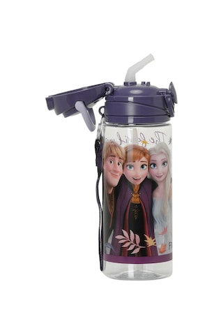 Polaris Otto.42511 4pr Mor Kız Çocuk Matara 000000000101922584