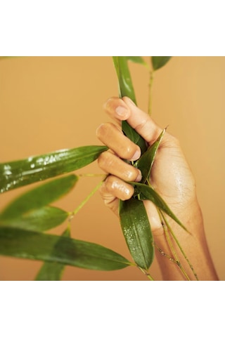 Erborian Seve De Bamboo Eye - Göz Çevresi Jeli 15 Ml