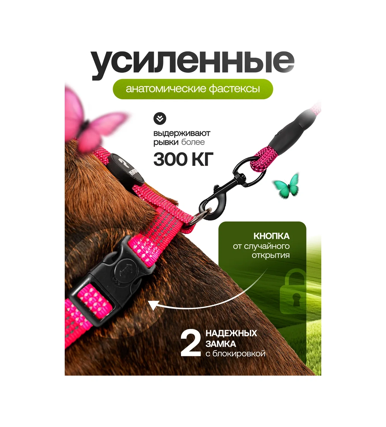 Petfort Köpekler İçin Anatomik Tasma 431184189