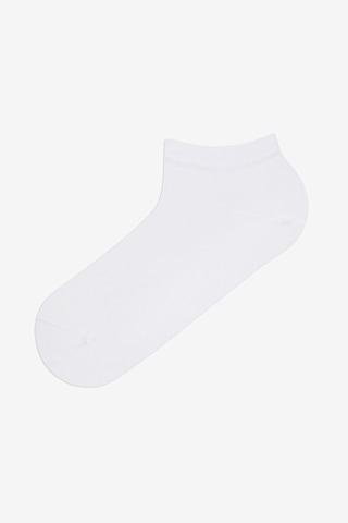 Penti Erkek Basic Beyaz 10lu Patık Çok Renkli
