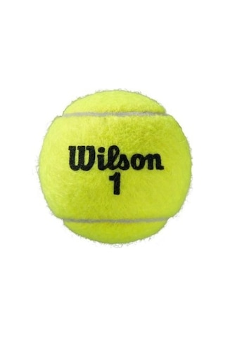 Wilson Roland Garros 3'lü Tenis Topu Wrt125000