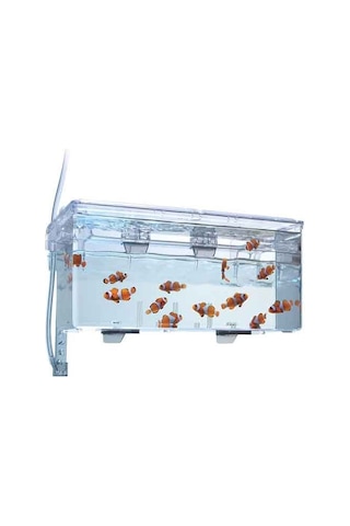 Fluval Askı Plastik Yavruluk Büyük 26x14x12 Cm.