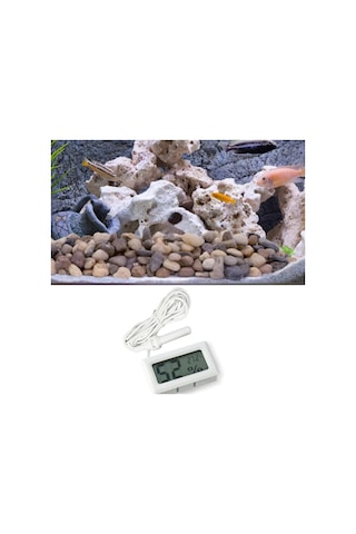 River World Higrometre Ve Termometre Dijital