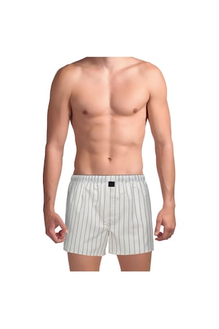 The Don Poplin Erkek Boxer Kırık Beyaz Çizgili Krem