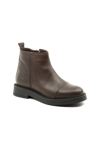 Dexter Tp812-26 Renkli Çok Renkli