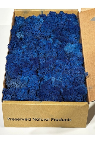 Reindermoss Şoklanmış Norveç Yosunu Terarium Yosunu Mavi 5 Kg.