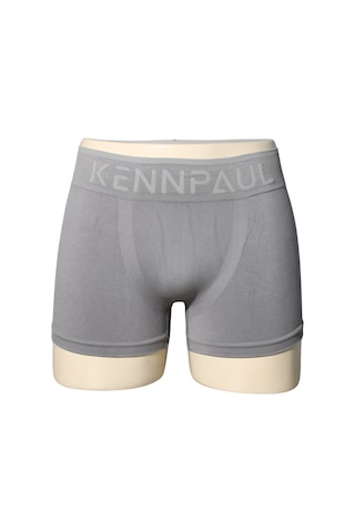 Kennpaul Yeni Nesil Mikro Kumaş Boxer Spor Ve Günlük Kullanım Gri