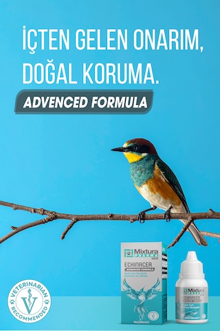 Mixtura Pharma Bird Echınacea
