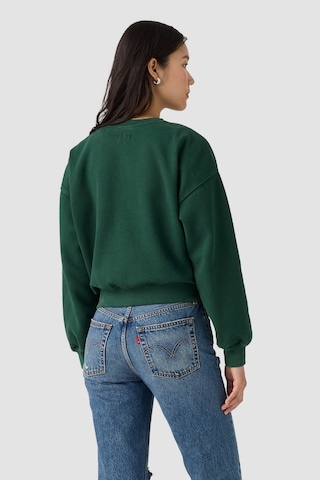 Levi's Kadın Vintage Bol Kesim Sweatshirt H226-pine Grove Şardonlu Yeşil Polar-24607