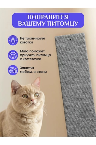 Anıjoy Tırmalama Tahtası İçin Kediler 239615311