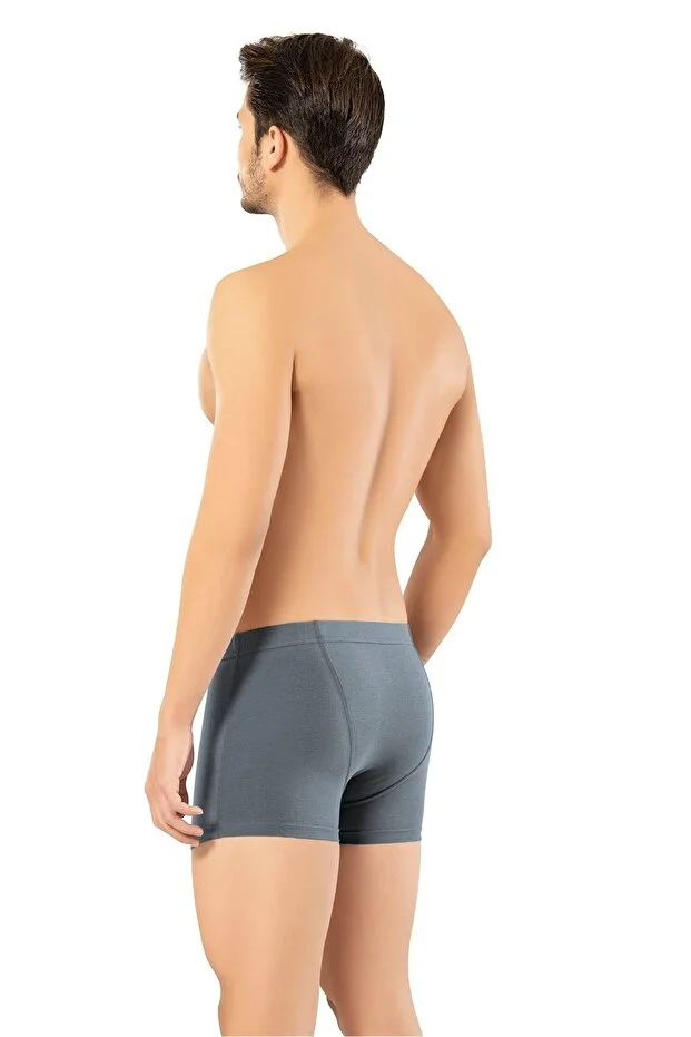 Erdem Erkek Füme 2 Adet Likralı Kutulu Boxer- 1420fw