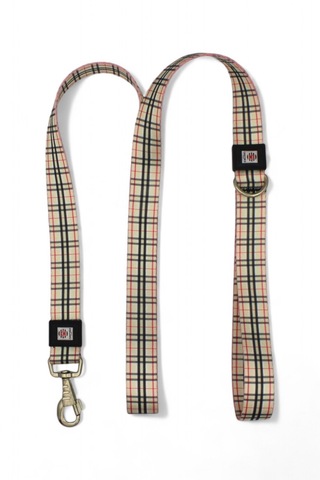 Metal Kilitli Köpek Tasma Seti, Boyun Tasması Ve Gezdirme Kayışı Krem