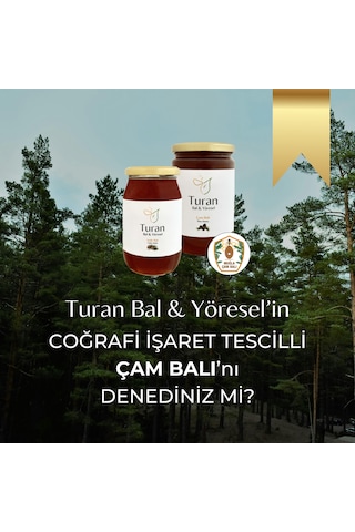 Turan Bal ve Yöresel Çam Balı 1410 G