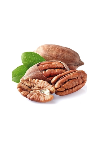 Pikan Ceviz Fidanı 2 Yaş - Açık Köklü 50-80 Cm