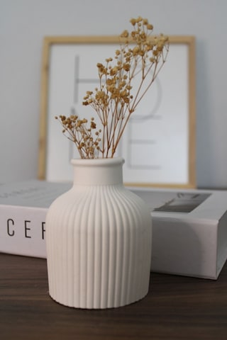 Pampas Vazosu/desenli Vazo Beyaz