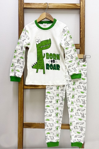 Hçm Erkek Çocuk Pijama Takımı Dinozor Baskılı Bisiklet Yaka C65 Yeşil