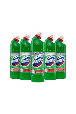 Domestos Çamaşır Suyu Dağ Esintisi 6 x 750 ML + Sünger 2'li