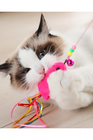 Kenpazar Balıklı Kedi Oyun Oltası 90 Cm