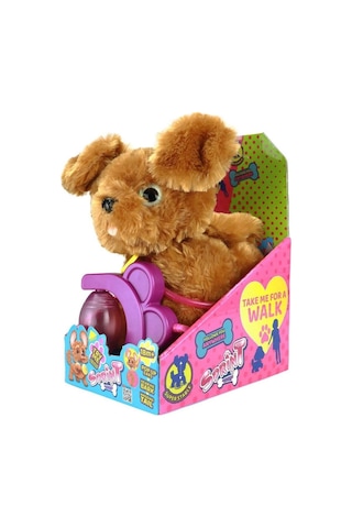 Sevimli Koşu Arkadaşım Golden Çok Renkli