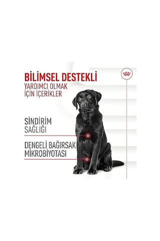Royal Canin Digestion Chews Sindirim Sağlığını Destekleyen Köpek Ödül Maması 160gr