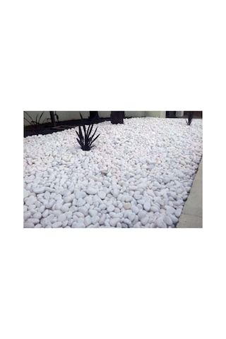 Beyaz Dolomit 25 Kg 2,5-4 Cm Dolamit Taşı Dere Çakıl Bahçe Süs Dekoratif Taş