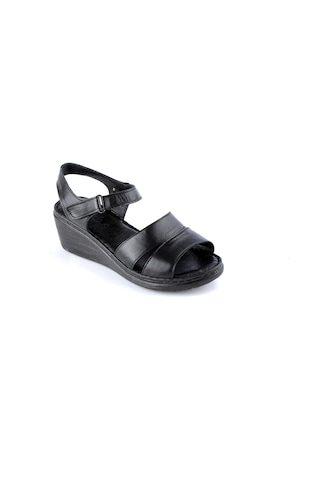 Dexter Dx465155-61 Kadın Sandalet Çok Renkli