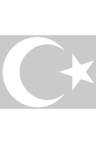 Ayyıldız (Bayrak) Sticker. 5 Farklı Ebatta