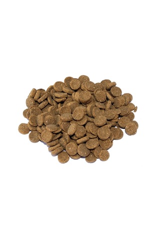 Prodac Pro Wafers 250ml / 135gr