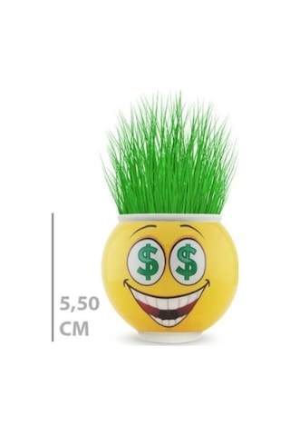 Büro Ev Ofis Dekoru İçin Emoji Figürlü Çim Adam Saksı