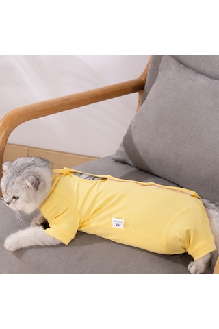 Geeksen Kedi Ameliyat Sonrası Kıyafeti - Yara Koruması Ve Yalama Engeli - Modal Dokuma - Sarı - M Beden