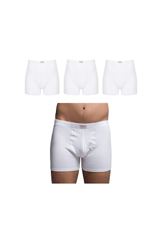 Thermoform Bambu Erkek Şort Beyaz 3'Lü Paket