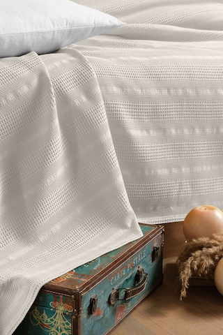 Pierre Cardin Pike Esse Tek Kişilik Krem