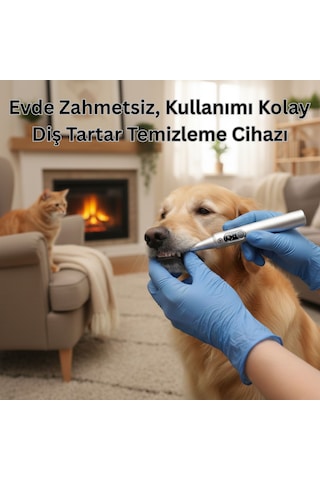 Npo M1 5mp Kameralı Uv'li 5 Modlu Ultrasonic Tartar Plak Pet Diş Temizleme Cihazı