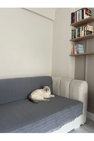 Koltuk Örtüsü Balıksırtı Desenli Gri