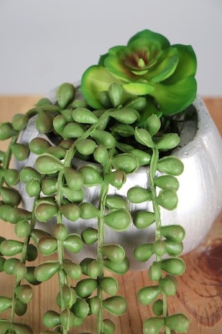 Yapay Çiçek Deposu Gümüş Mini Kabak Saksıda Succulentli Sarkan Tesbih Çiçeği 42 Cm