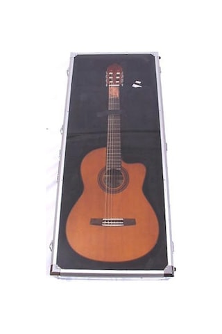 Valencıa Dsc420 Akustik Gitar Teşhir Çantası Dreadnought Show Cas