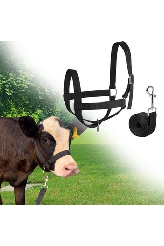 Homyl Boğa Dizgini Başı Koşum Malzemesi Naylon İnek Yular S Siyah