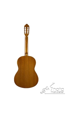 Valencia Vc204 Klasik Gitar Scale 4/4 Naturel Mat Kapak Sıtka