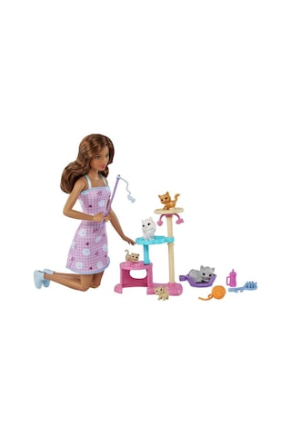 Barbie ve Yavru Kedileri Oyun Seti  HHB70
