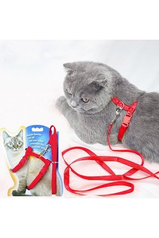 Kedi Göğüs Tasma Düz Renk 1x120 CM