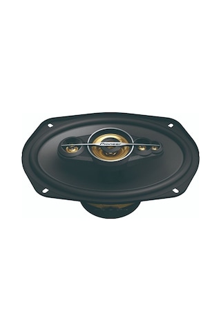 Pionner Ts-a6991f