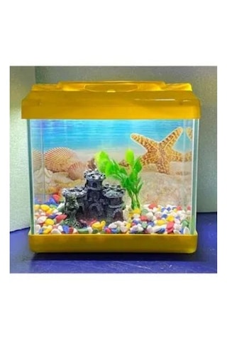 Sarı Renkli Mini Kare Akvaryum 20x20x15