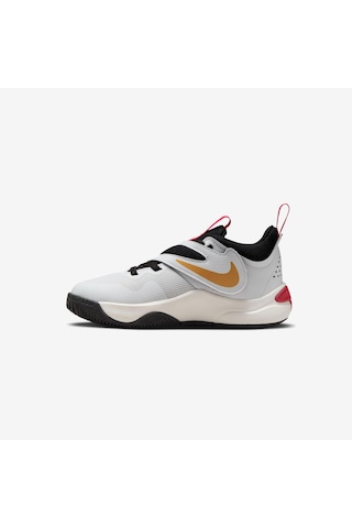 Nike Team Hustle D 11 Çocuk Basketbol Ayakkabısı Dv8994-104 Cok Rekli