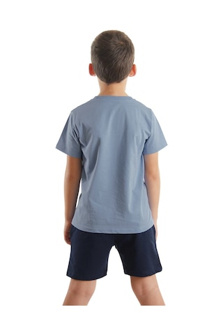 Denokids Mushi Kepçe İşte Erkek Çocuk T-shirt Şort Takım Çok Renkli