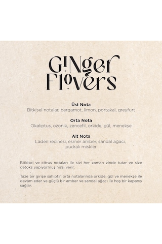 Carpex Ginger Flowers Auramax Koku Kartuşu 250  ML